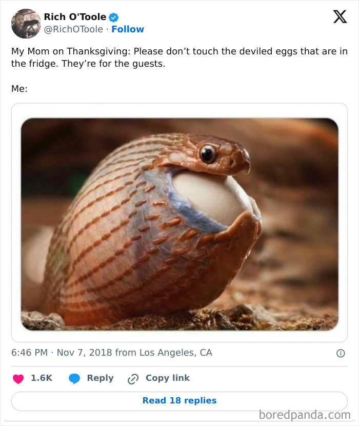 Funny-Viral-Thanksgiving-Posts
