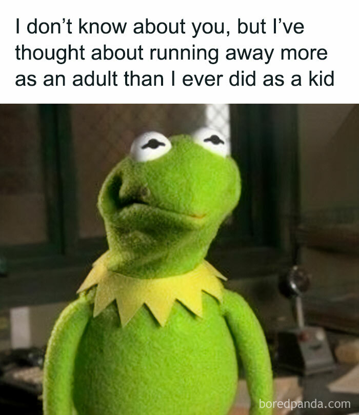 Memes-Laughing-Chicks