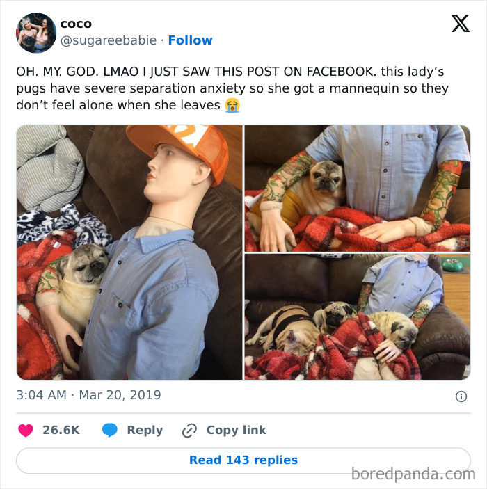 Antisocial-Butterfly-Memes-Jokes