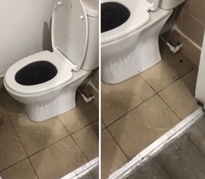 My Dads Airbnb In London Is Flooded