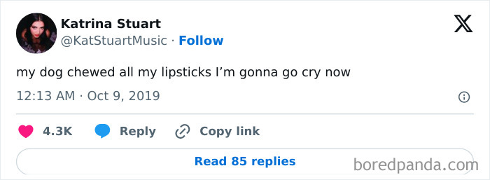 The Dog Was Trying To Get Pretty, Can't Blame Him