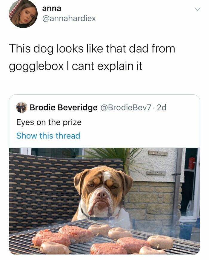 Funny-UK-Memes-Laughssuk