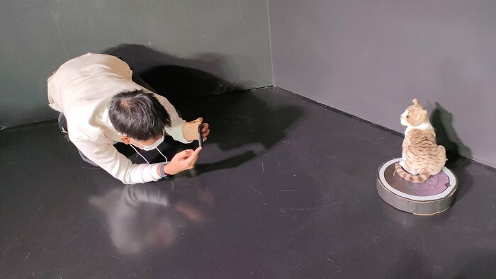 Person Trying To Go Viral With A Video Of A Cat Riding A Roomba