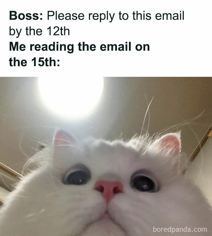 Painfully-Relatable-Work-Memes