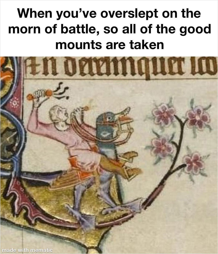 Medieval meme of a knight riding a bird, humorously highlighting the lack of good mounts in battle.