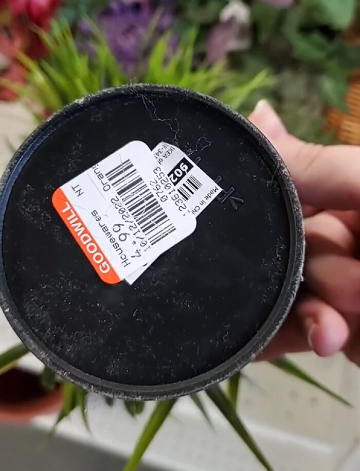 Woman Flabbergasted At Goodwill Prices, Calls Them Out By Sharing Real Examples Woman Flabbergasted At Goodwill Prices, Calls Them Out By Sharing Real Examples