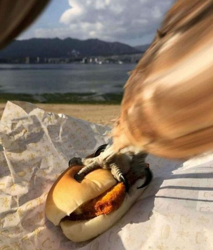 50 Weird Images That Need No Context Whatsoever To Be Hilarious, As Seen On This FB Page