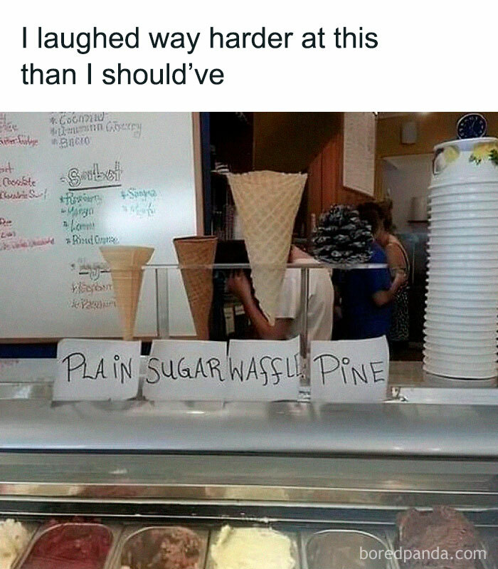 Hilarious-Canadian-Memes