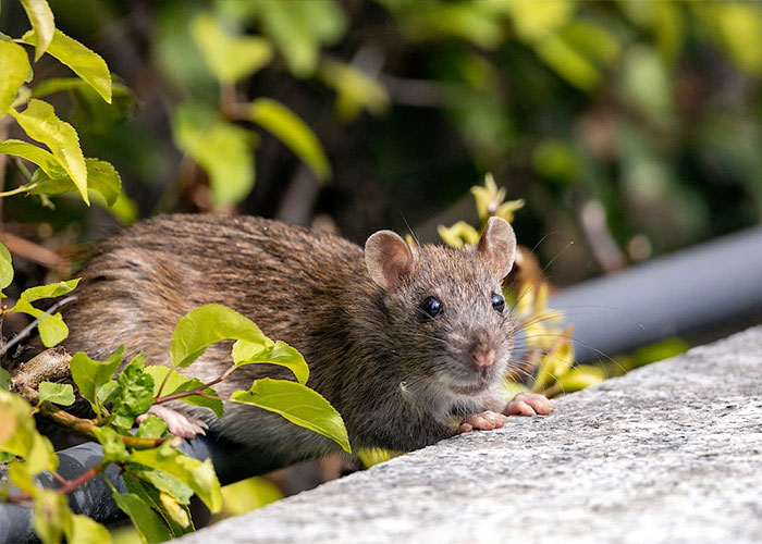 OSHA Inspectors Share 40 Moments From The Job That Left Them Flabbergasted