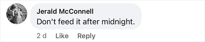 “It Didn’t Fit In With Artistic Rules”: Terrifying Figure Unearthed From 18th-Century Artwork “It Didn’t Fit In With Artistic Rules”: Terrifying Figure Unearthed From 18th-Century Artwork