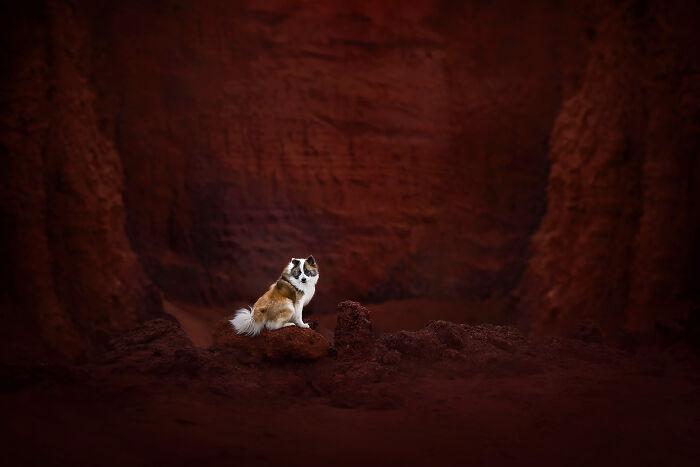 Red Rocks In South Iceland