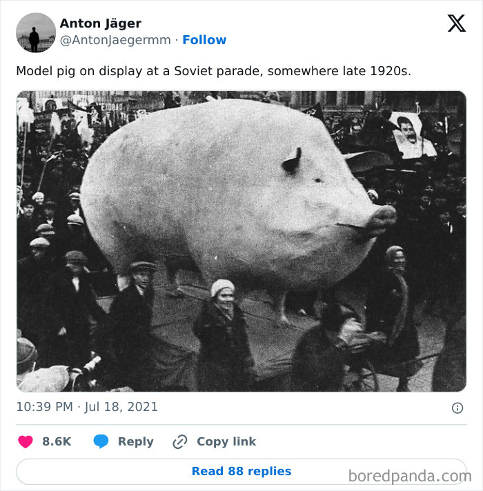 Confusing-Weird-Pics