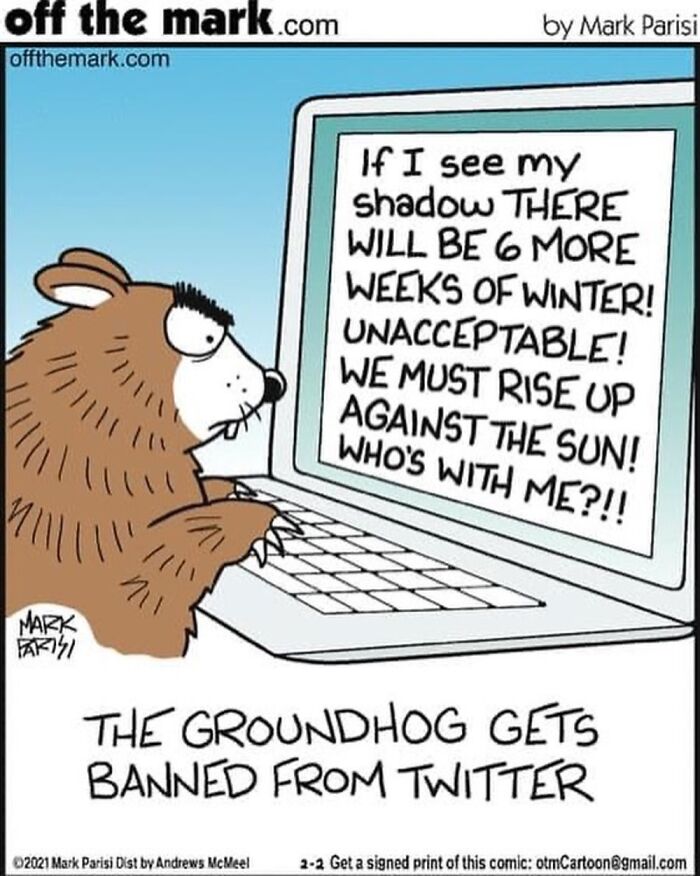 This Artist Used "Internet Searches" As The Theme For His Fun Single-Panel Comics (50 Pics)