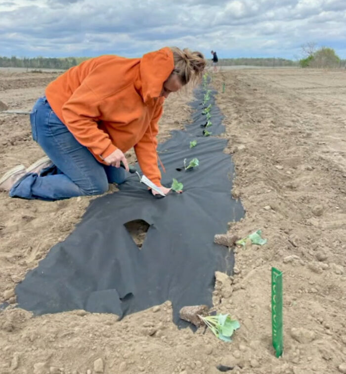 Teen Noticed Local Charities Don&rsquo;t Have Fresh Produce, Grows Over 7000 Pounds Of It