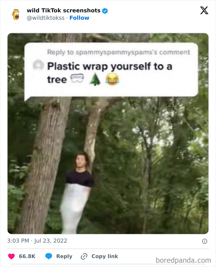 Wild-Tiktoks-Screenshots