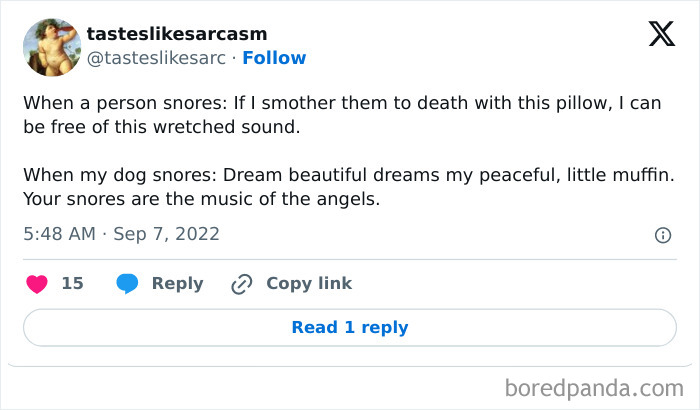 Tastes-Like-Sarcasm-Relatable-Memes