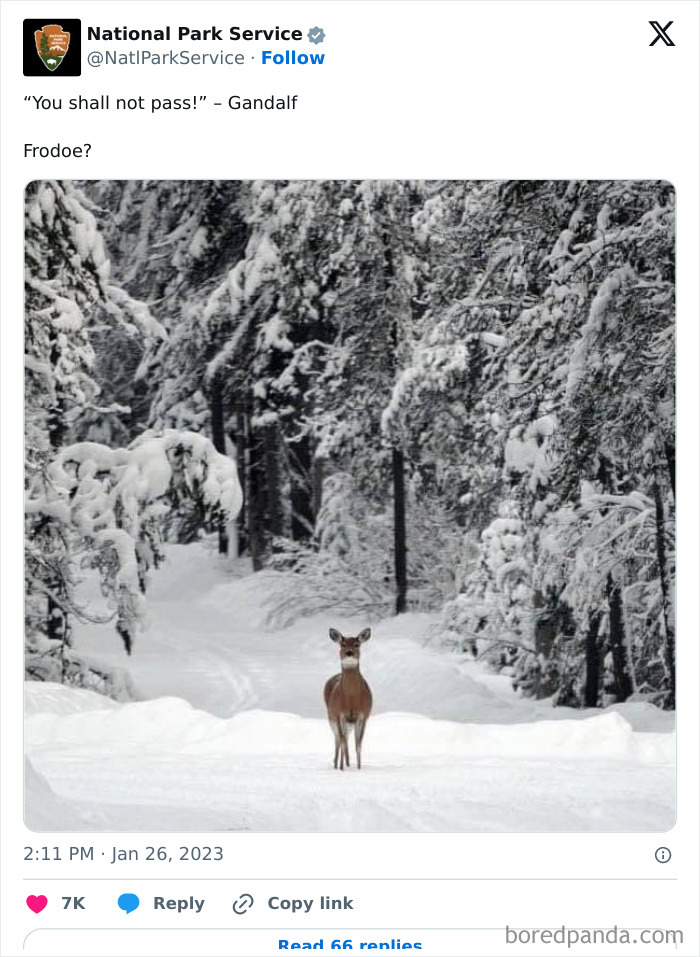 Funny-National-Park-Service-Twitter-Posts
