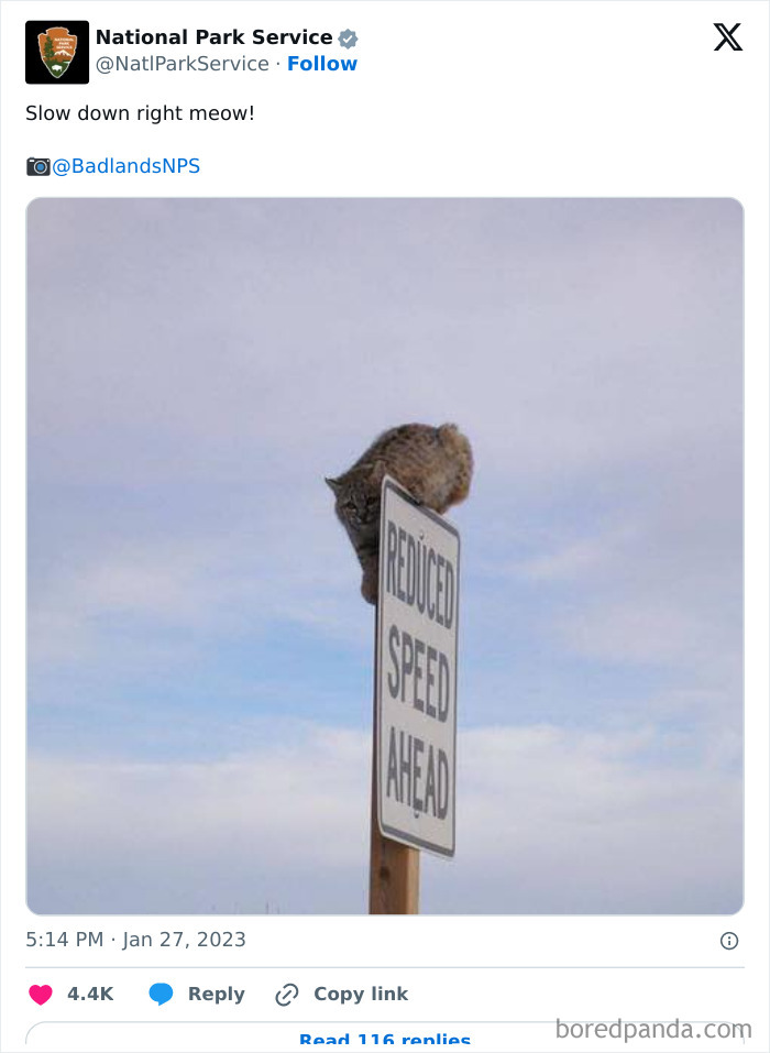 Funny-National-Park-Service-Twitter-Posts