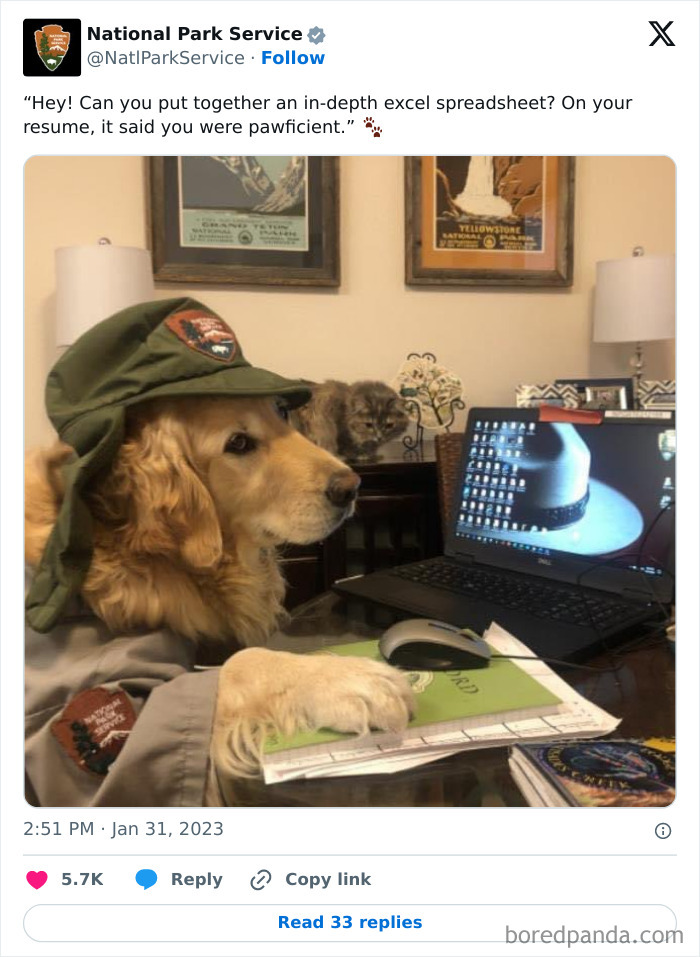 Funny-National-Park-Service-Twitter-Posts