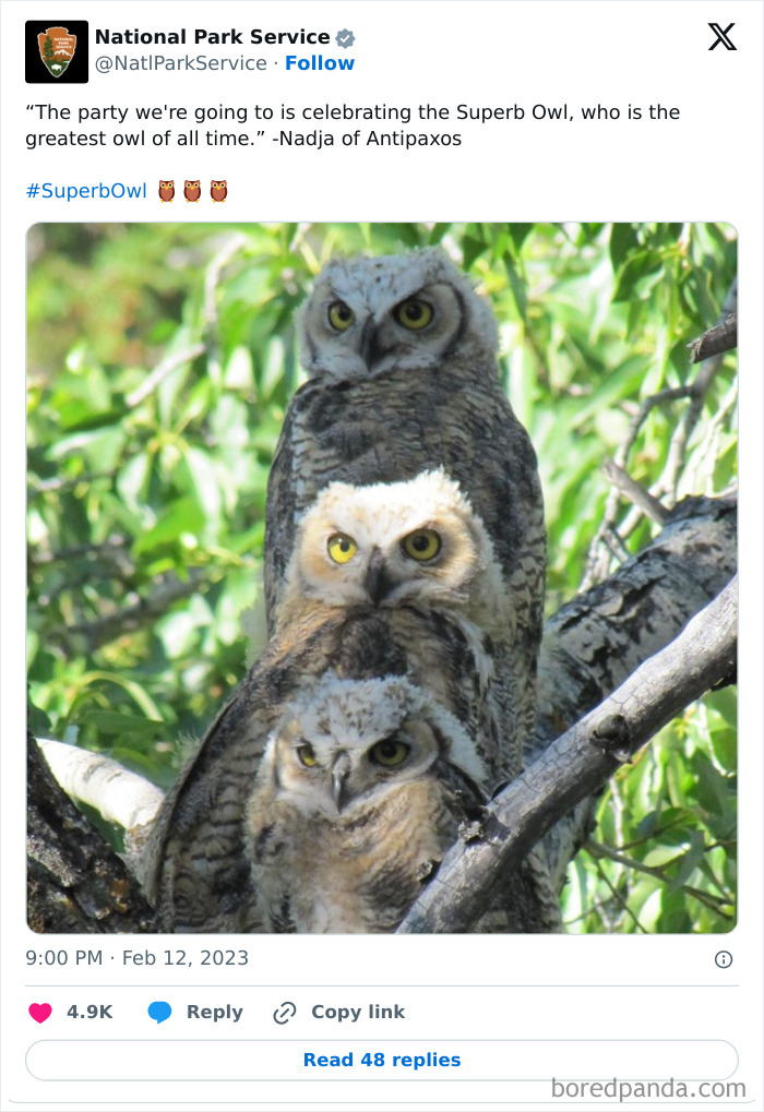 Funny-National-Park-Service-Twitter-Posts