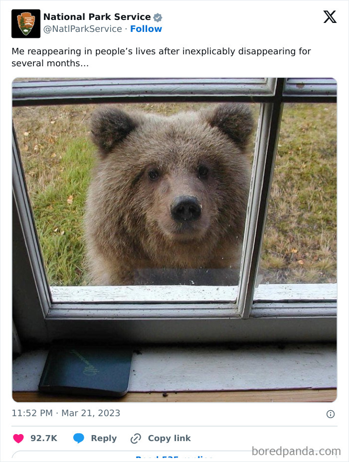 National Park Service tweet showing a bear looking through a window with a humorous caption about reappearing.