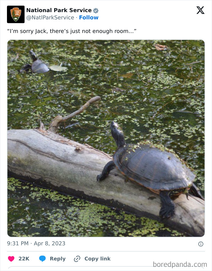 Tweet from National Park Service showing two turtles on a log in a pond, highlighting National Park Service social media humor.
