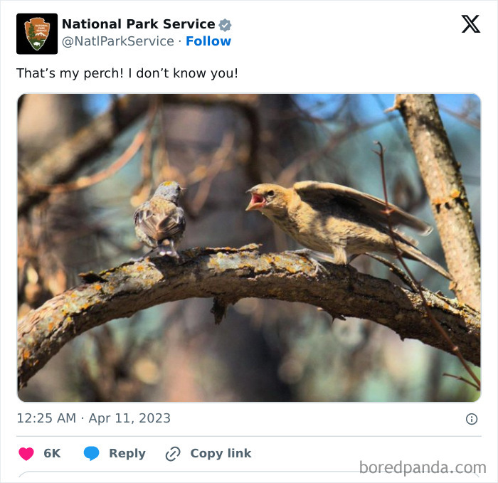 Funny-National-Park-Service-Twitter-Posts