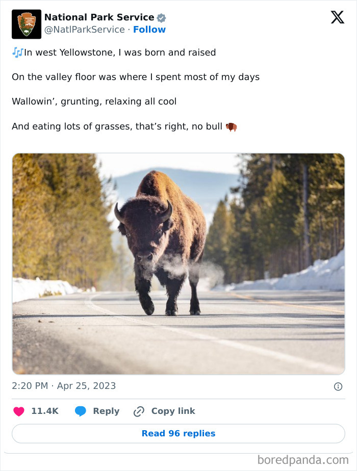 Funny-National-Park-Service-Twitter-Posts