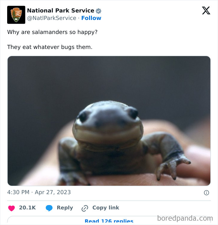 National Park Service tweet featuring a close-up of a smiling salamander held gently in a hand.