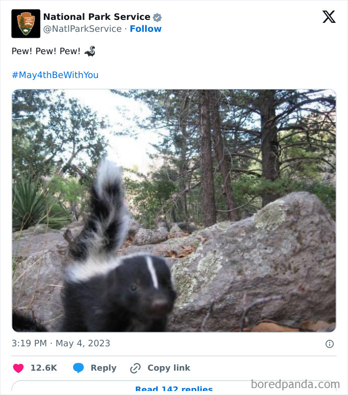 Skunk raising tail in forest setting, shared by National Park Service showcasing hilarious social media engagement.