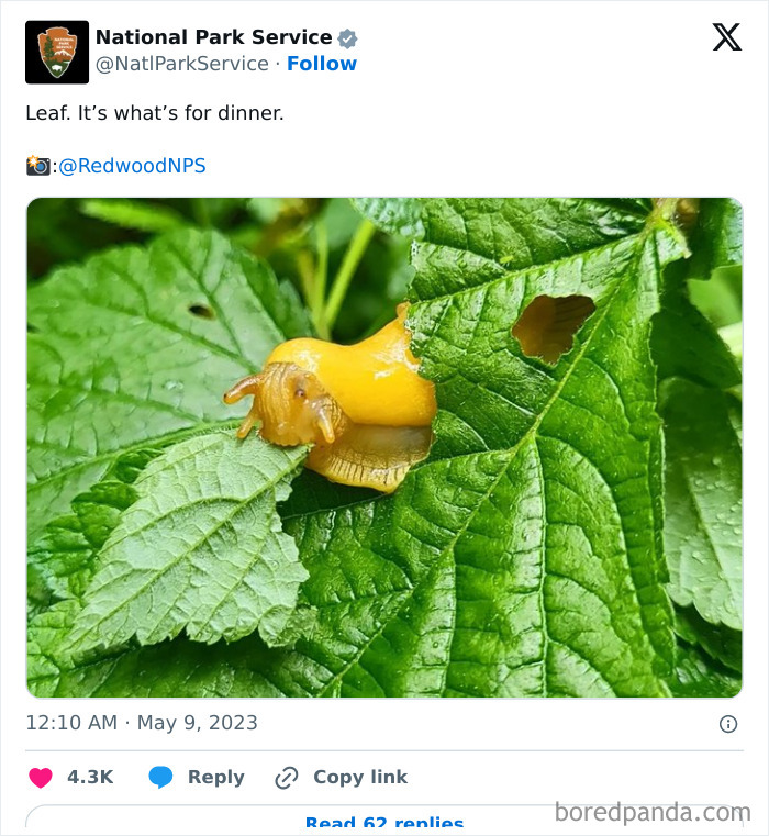 Funny-National-Park-Service-Twitter-Posts