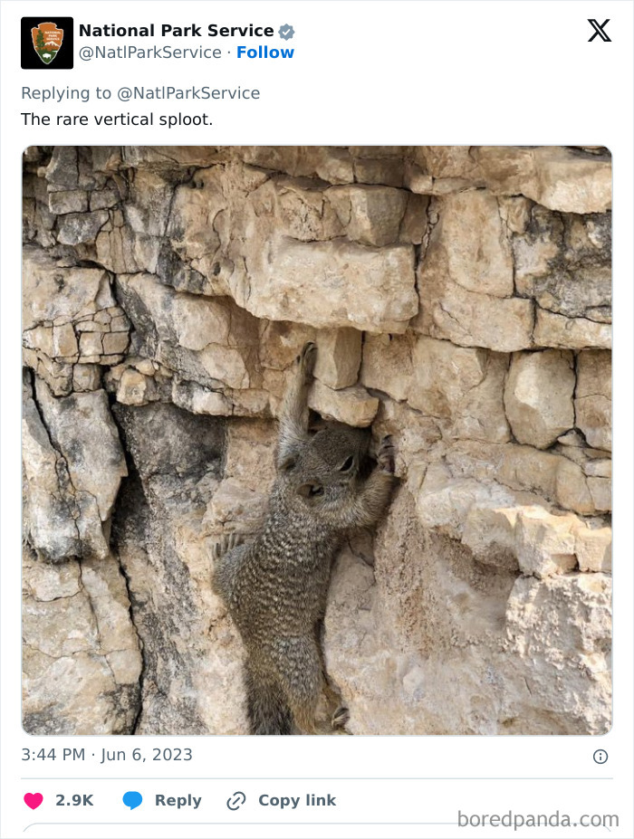 Funny-National-Park-Service-Twitter-Posts