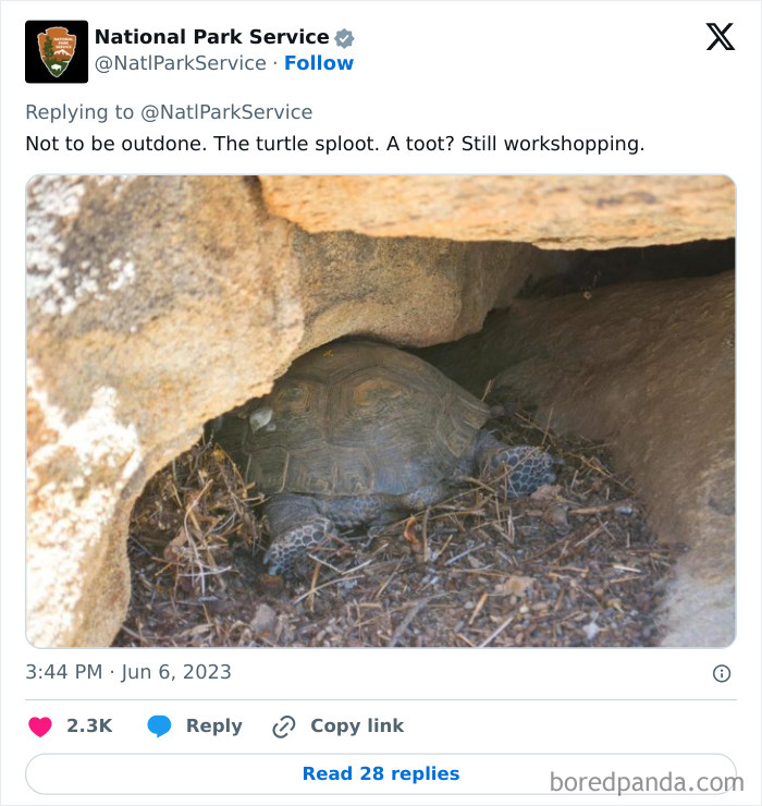 A turtle resting inside a rocky cave shared on National Park Service social media with humorous caption.