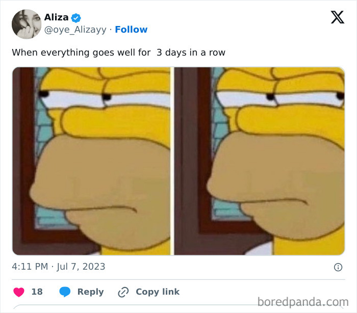 Homer Simpson meme depicting skepticism, humorously illustrating relatable moments in life.