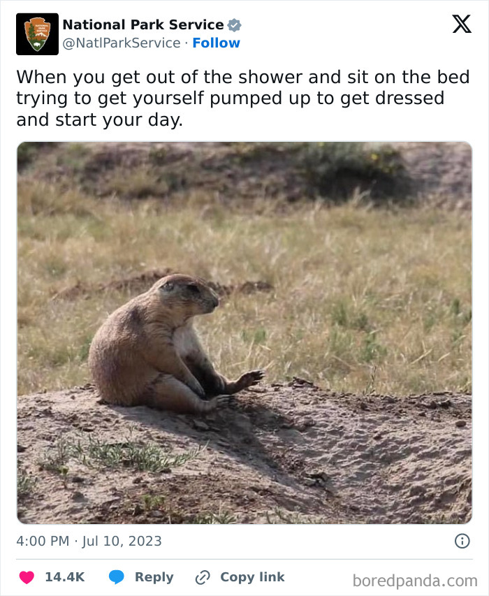 National Park Service tweet showing a prairie dog sitting on dirt, humorously capturing morning sluggishness.