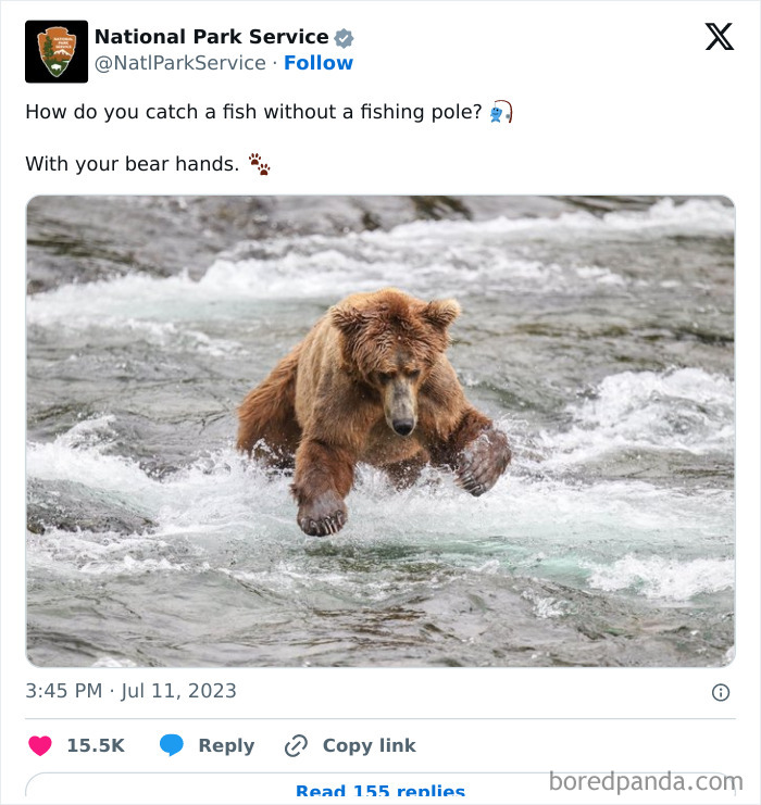 National Park Service tweet with a brown bear catching fish in a river, showcasing hilarious social media content.