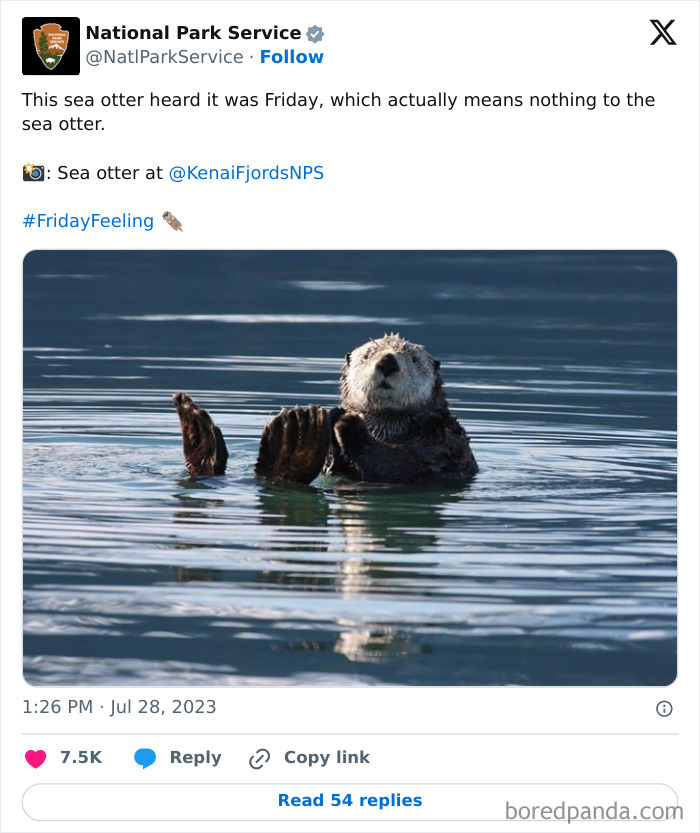 Sea otter floating in water with humorous National Park Service tweet showing perfect social media engagement.