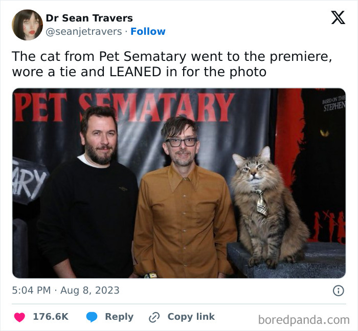 Creepy-Memes-Creepyholics