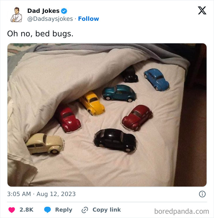 Random-Things-Weird-Places