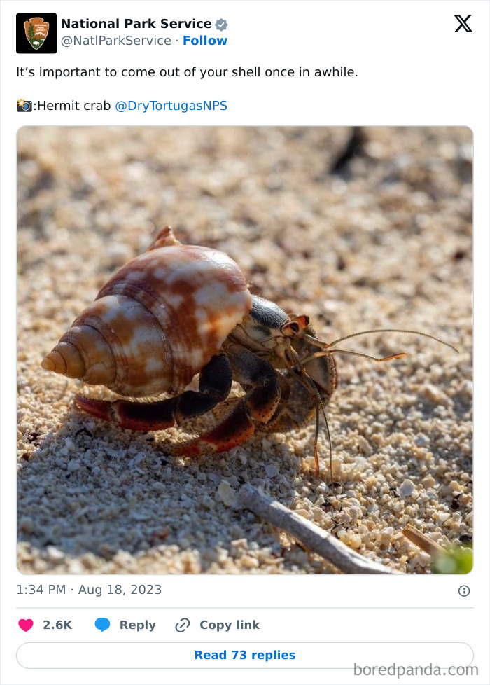 Funny-National-Park-Service-Twitter-Posts