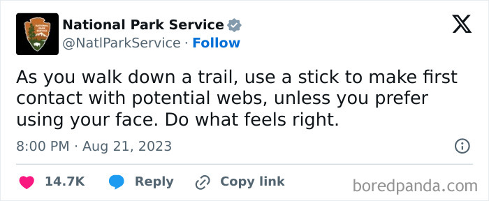 Tweet from National Park Service humorously advising to use a stick to avoid spider webs while hiking, showcasing witty social media.