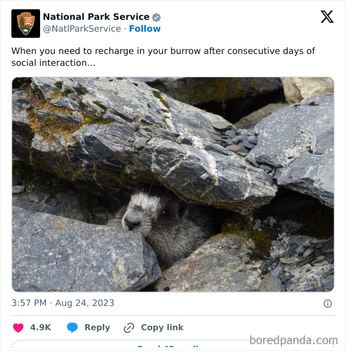 Funny-National-Park-Service-Twitter-Posts