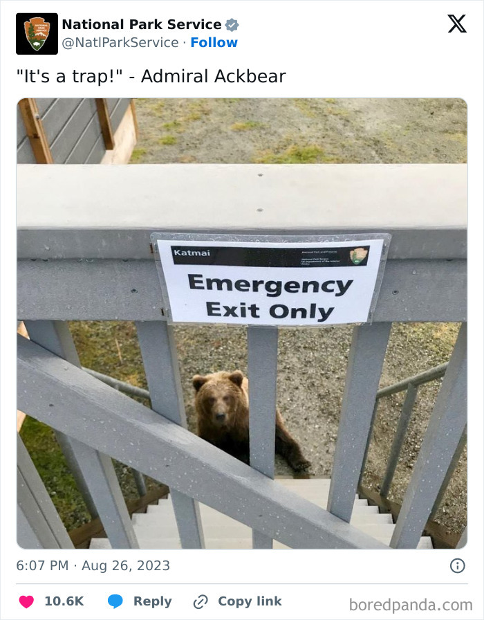 Funny-National-Park-Service-Twitter-Posts