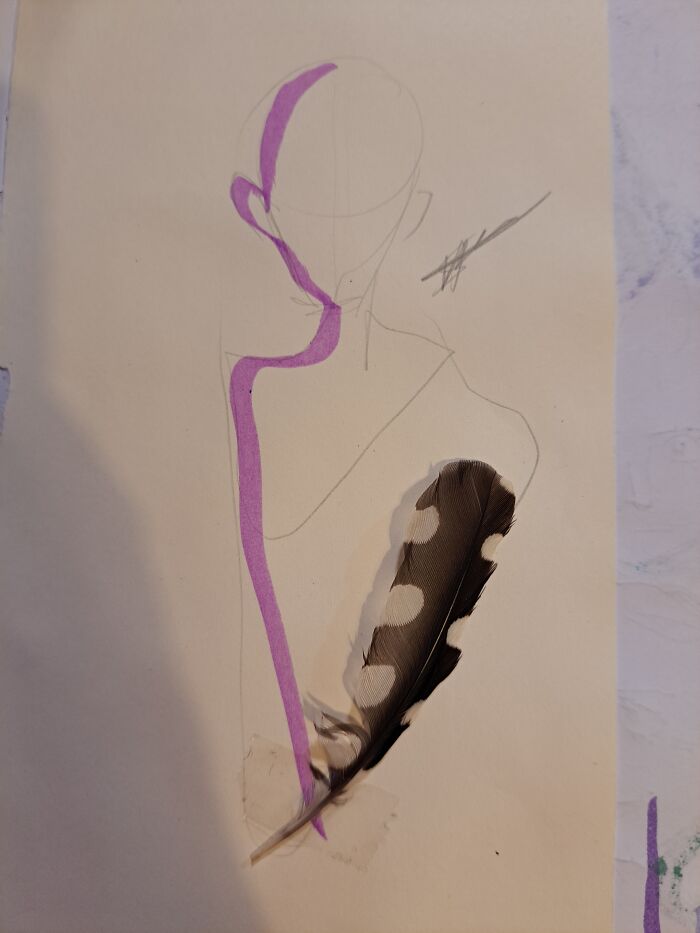 Spotted Feather On My Drawing