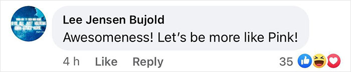 &ldquo;I Am Unwilling To Stand By&rdquo;: Pink Will Give Away Thousands Of Banned Books At Florida Concerts