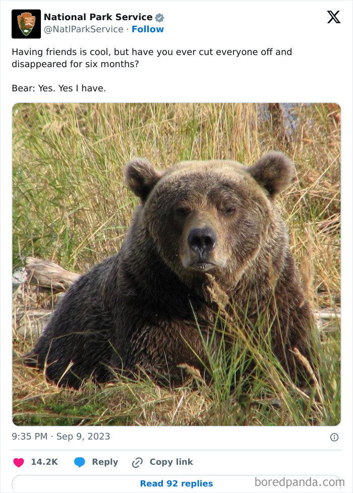 National Park Service tweet featuring a close-up of a bear sitting in grass with a humorous caption.