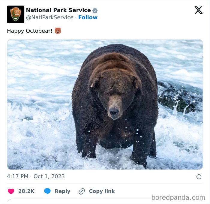 Brown bear standing in river water with waves splashing, shared in a National Park Service social media post.