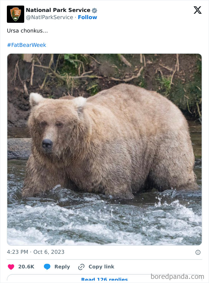 Funny-National-Park-Service-Twitter-Posts