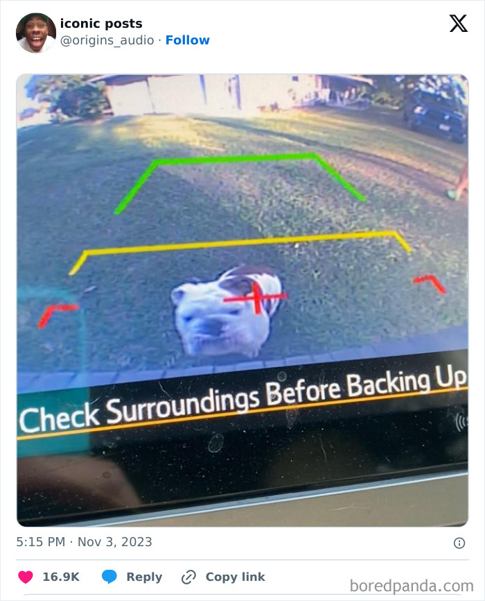 Funny-Iconic-Internet-Posts