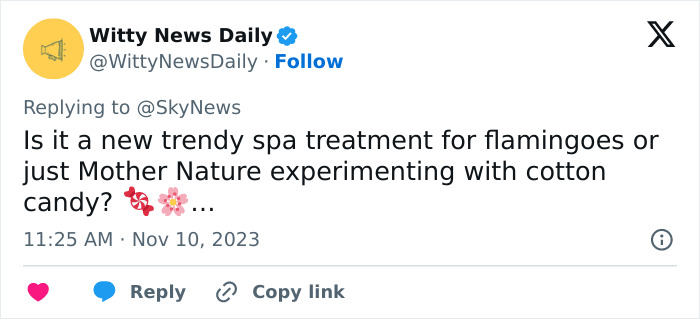 Hawaii Reservation Officials Puzzled By Pond Turning Mysteriously Pink